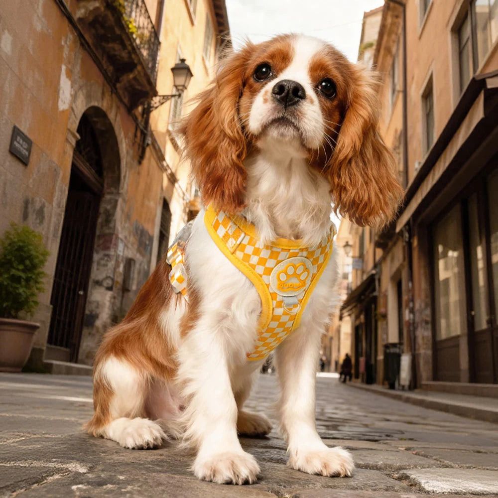 Soft Pet Harness, Skin-Friendly, Breathable Mesh, Plush Padded Vest, Comfortable Pet Gear, Ultra Soft Fabric