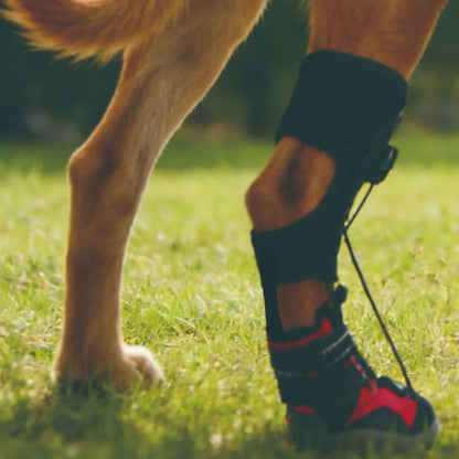 Dog Shoes Dirty Proof Anti Drop Wear Resistant Hard Sole Breathable Foot Protection Puppy Boots Injured dog joint fixation