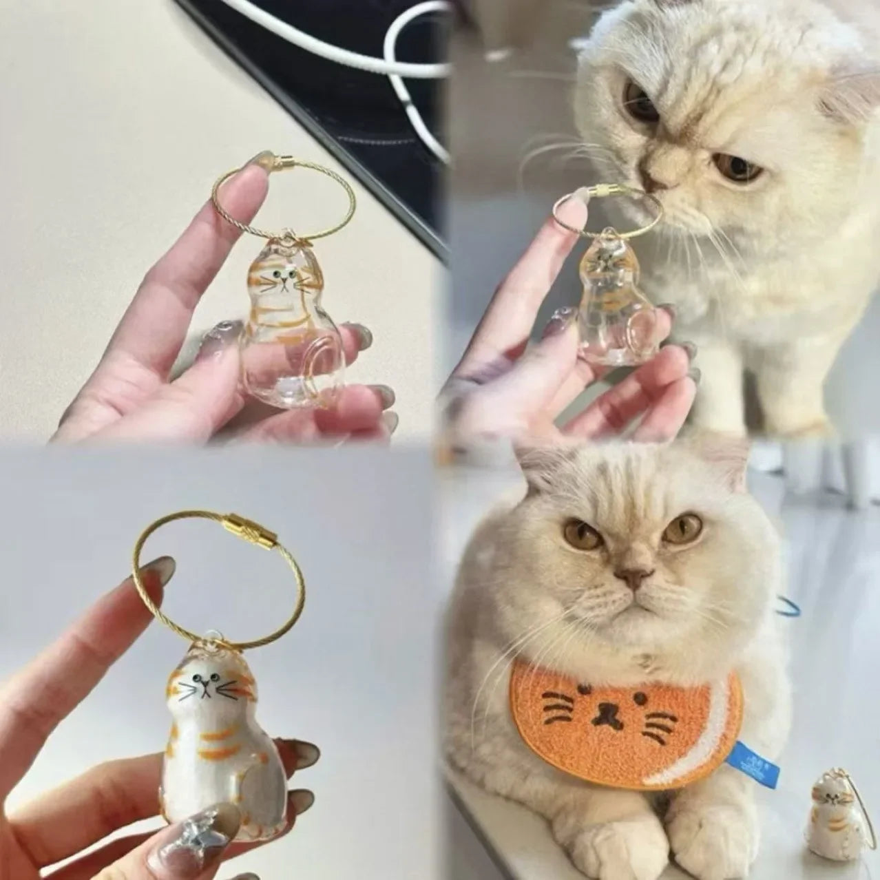 Pet Hair Keepsake Box Memorial Bottle for Cat Fur Storage Container for DIY Decoration Gift for Pet Lovers Home Display
