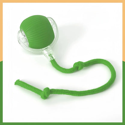 Dog Toy Automatic Dog Walking Ball Self-Happy Relieving Boredom Pet Electric Puppy Bite-Resistant Smart Toy Puppy Training