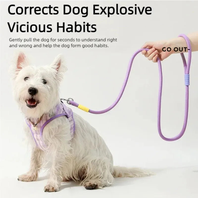 Dog leash, pet walking leash, outdoor dog dopamine contrasting leash, pet supplies