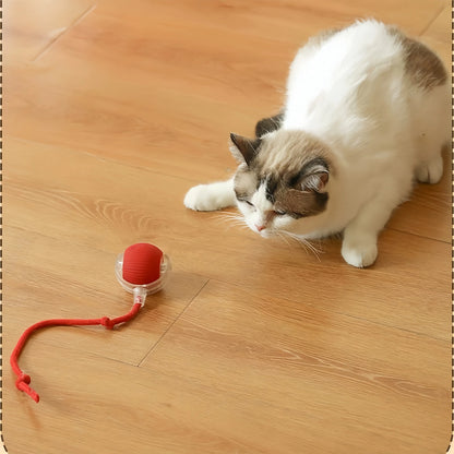 Dog Toy Automatic Dog Walking Ball Self-Happy Relieving Boredom Pet Electric Puppy Bite-Resistant Smart Toy Puppy Training