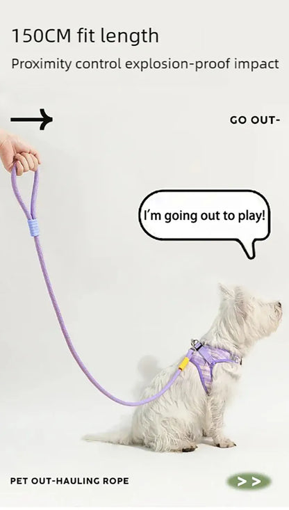 Dog leash, pet walking leash, outdoor dog dopamine contrasting leash, pet supplies